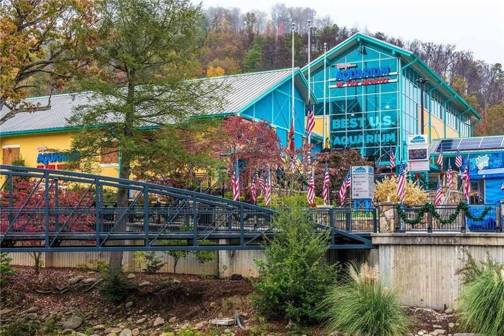 Huny Bear Lodge ピジョンフォージ エクステリア 写真